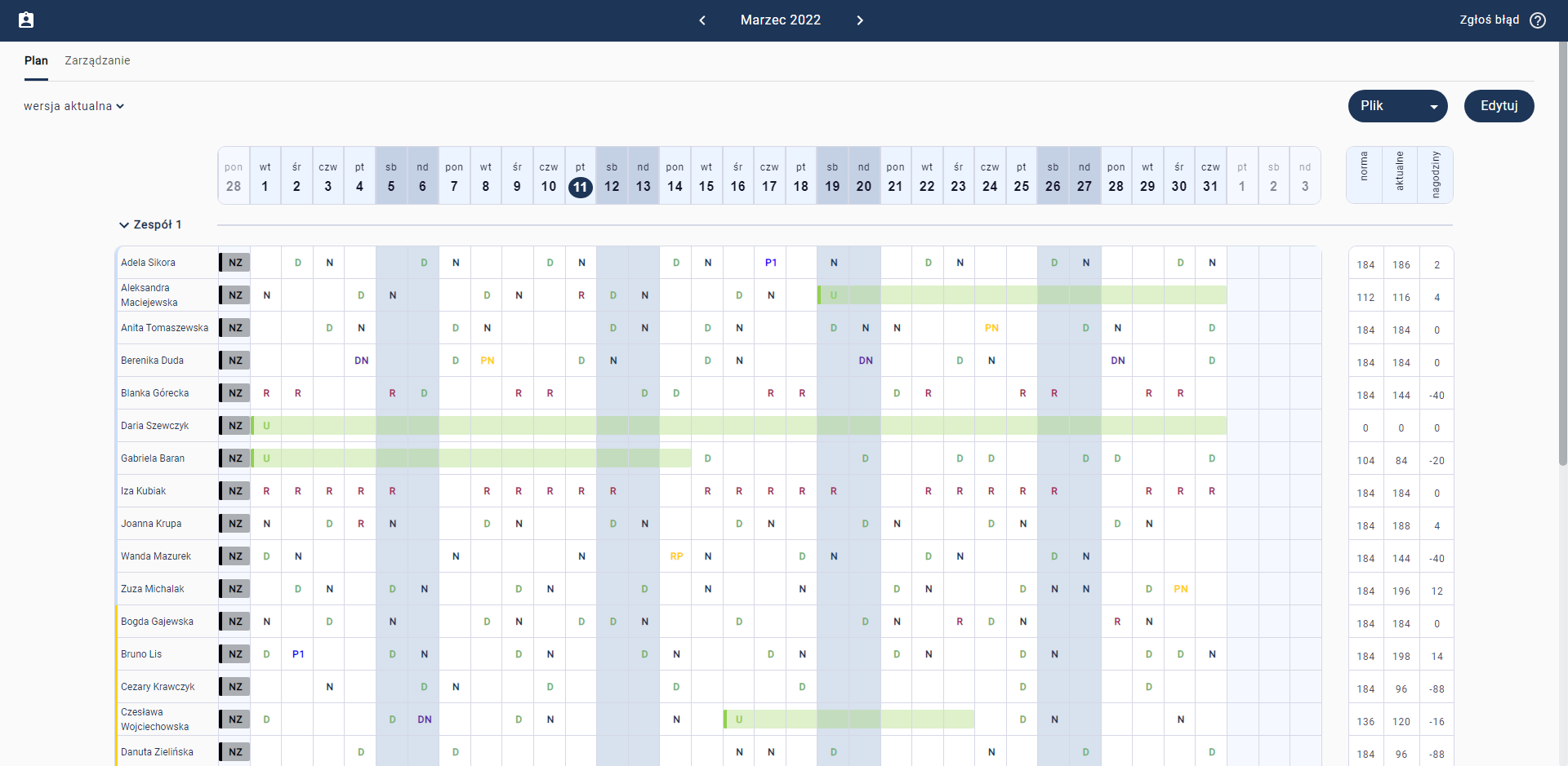 Nurse Scheduling Project Preview